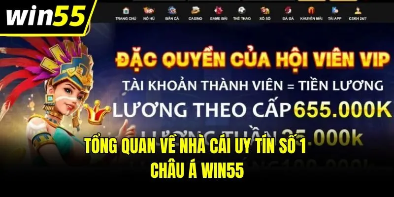 Tổng quan về nhà cái uy tín số 1 châu Á Win55